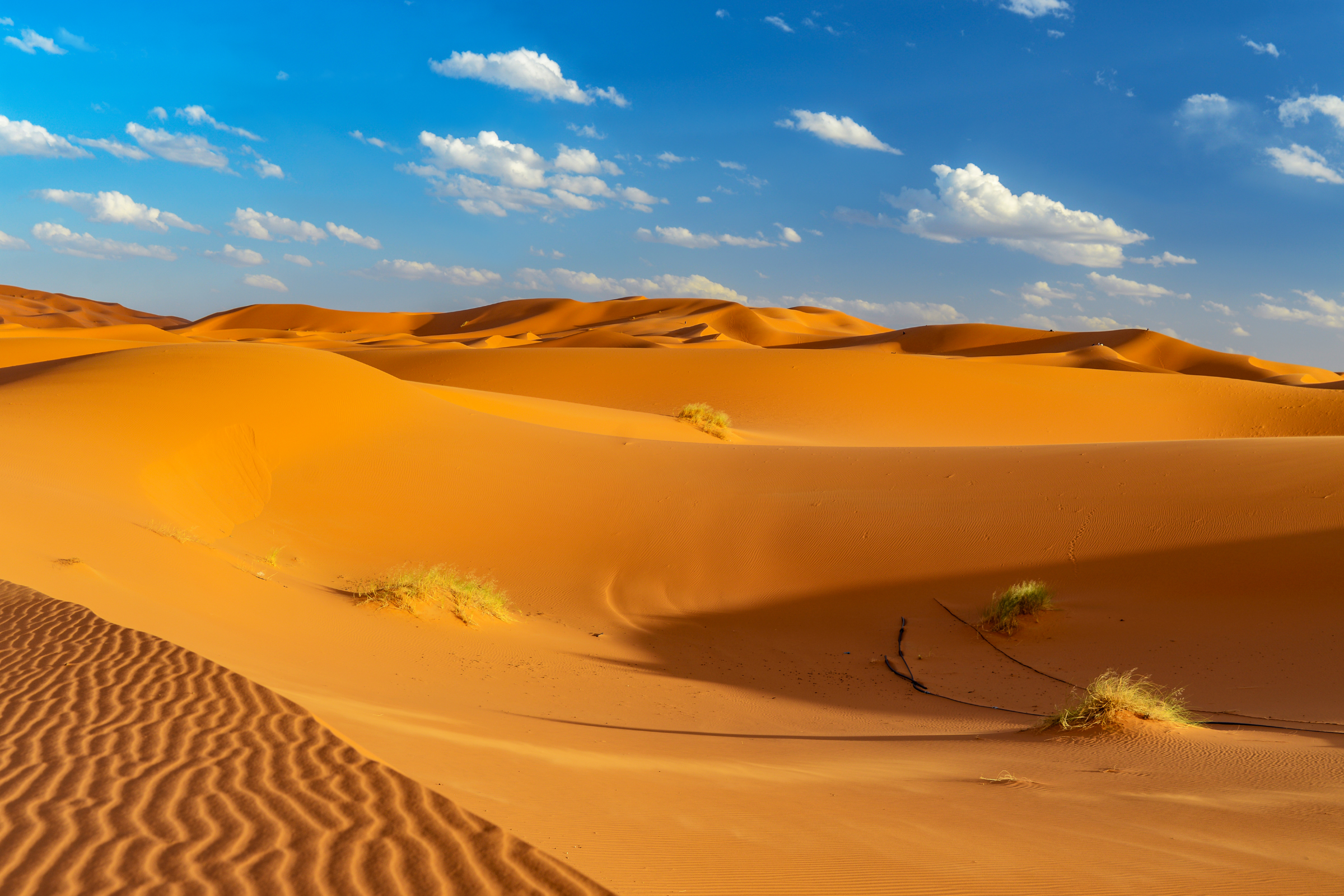 erfoud (2).webp